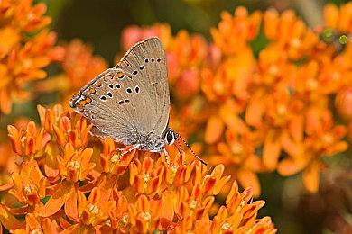 万代撤离射击游戏《奇异贤伴：爱达之歌》游戏系统介绍预告 公测即将开启