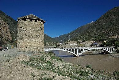 操作小虫在澳大利亚丛林冒险的游戏上架Steam